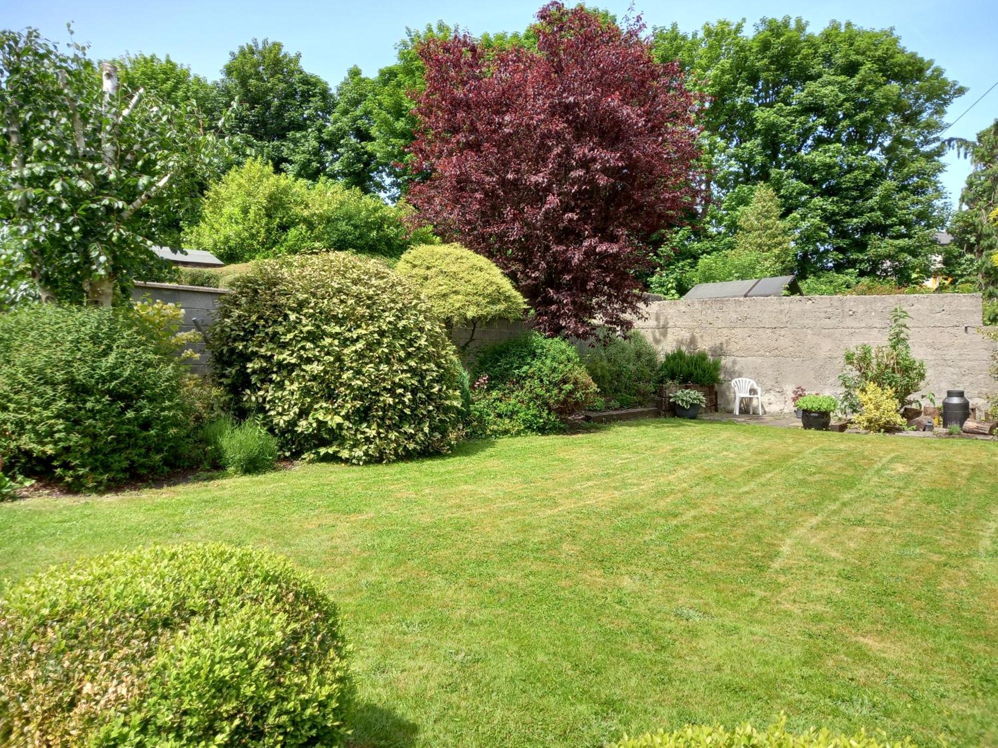Carraig Rua Bed and Breakfast Kilkenny Buitenkant foto