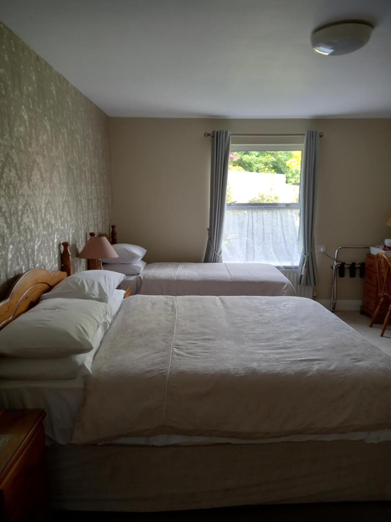 Carraig Rua Bed and Breakfast Kilkenny Buitenkant foto