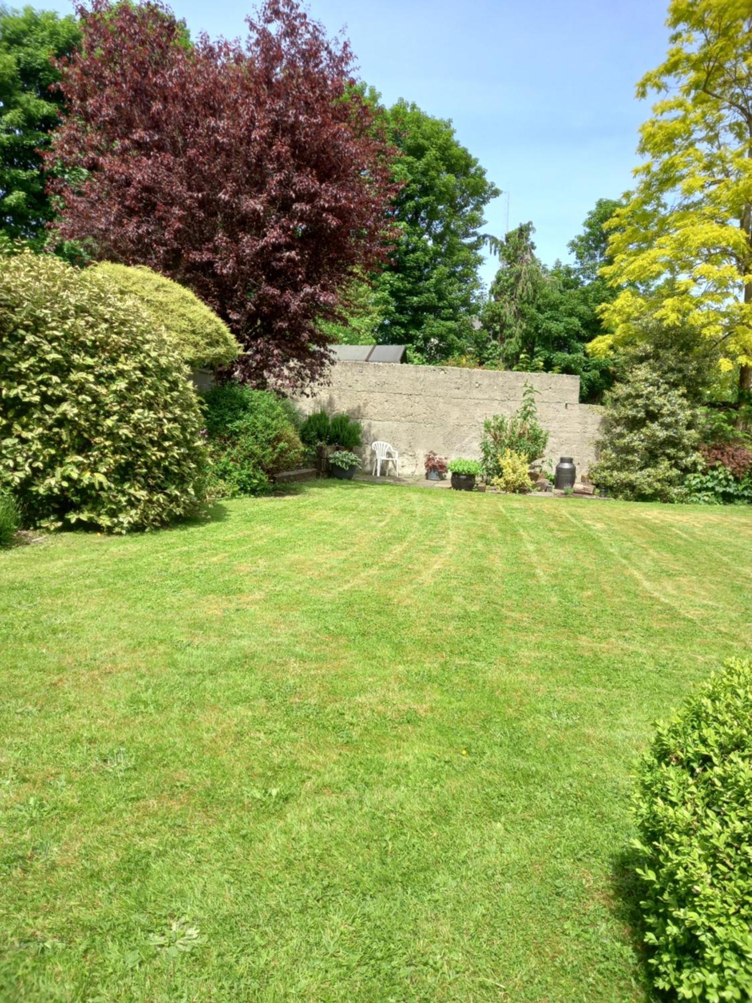 Carraig Rua Bed and Breakfast Kilkenny Buitenkant foto